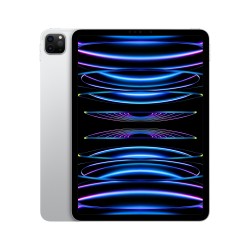 iPad Pro 11 Wifi 2TB Plata