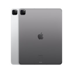 iPad Pro 12.9 Wifi Celular 256GB Plata