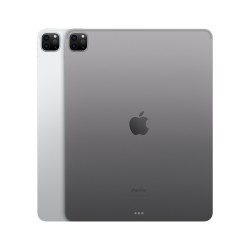 iPad Pro 12.9 Wifi 256GB Gris