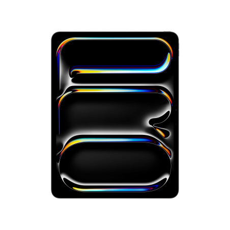 iPad Pro 13 M4 WiFi 512GB Negro