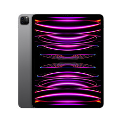 iPad Pro 12.9 Wifi 1TB Gris