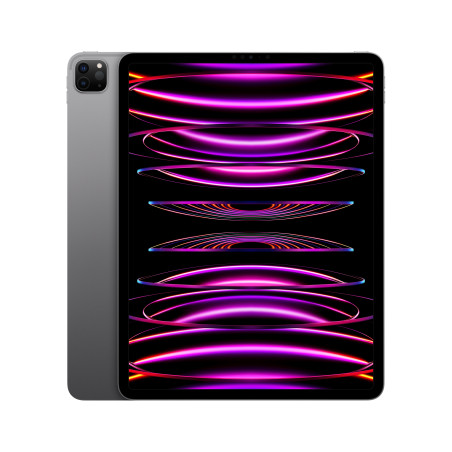 iPad Pro 12.9 Wifi 1TB Gris