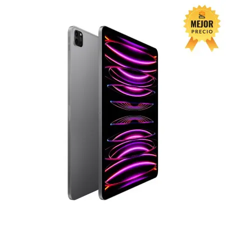iPad Pro 12.9 Wifi 1TB Gris