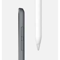 iPad mini Wi-Fi 256GB 5 Gen Gris 2