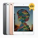 iPad mini Wi-Fi 256GB 5 Gen Gris