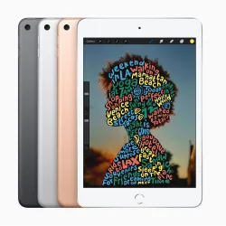 iPad mini Wi-Fi 256GB 5 Gen Gris 3