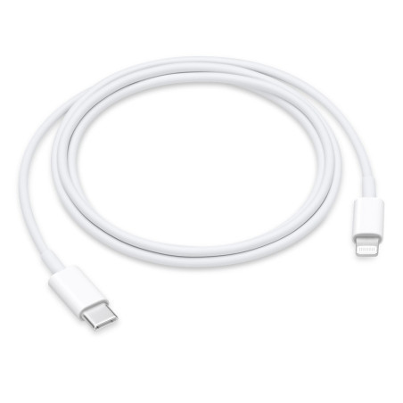Cable USBC 1m