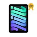 iPad mini WiFi 256GB Gris
