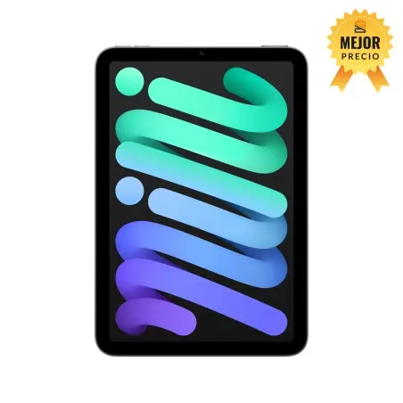 iPad mini WiFi 256GB Gris