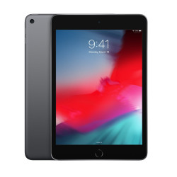🤑Rebajas iPad mini Wi-Fi 256GB 5 Gen Gris Reacondicionado 