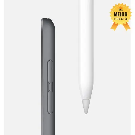 🤑Rebajas iPad mini Wi-Fi 256GB 5 Gen Gris Reacondicionado 